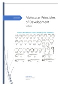 Molecular Principles of Development lecture notes