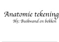 Tekeningen anatomie H5 Buikwand en bekken