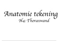 Tekeningen H4 Thoraxwand