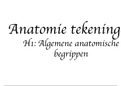 Tekeningen  H1 en H2 anatomische begrippen en biomechanische aspecten