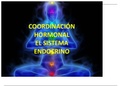 SISTEMA ENDOCRINO