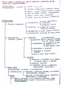 Esquemas de literatura y morfología para 2º de bachillerato