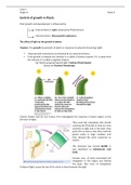 control of growth in plants