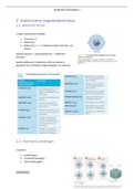 Samenvatting anatomie & fysiologie 1, hoofdstuk 2: Moleculaire organisatieniveau