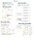 Dienes & Benzene 