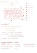 GCSE Biology Chapter 3: Plant Nutrition and Transport