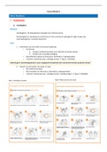 Samenvatting Kliniek II