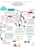 Biotecnología Aplicaciones de Manipulación Genética. (Mapa Mental) 