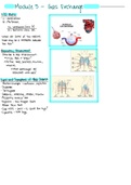 Respiratory Notes- Rasmussen Module 5 for NUR2755 MDC4 