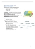 Samenvatting neurologie jaar 2 blok 6