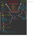 ACLS Cardiac Arrest Algorithm