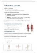 Functionele anatomie van de ledematen 