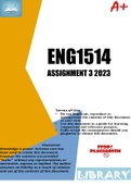 ENG1514 ASSIGNMENT 3 2023