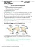 Wichita State University. ANTH 106 Biological Anthropology Lab Exam- LAB # 12 – Neanderthals and Late Homo. Q&A