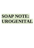 NSG MISC SOAP NOTE:  UROGENITAL