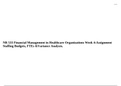 NR 533 Financial Management in Healthcare Organizations Week 4:Assignment Staffing Budgets, FTEs &Variance Analysis. 