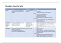 Schema Studies  Orthopedagogiek - Handicaps (P0L41a)