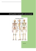 Samenvatting  Anatomie & fysiologie