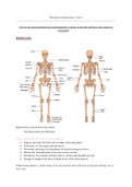 PDHPE Core 2: The Body In Motion Syllabus/summary notes