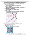 Placentation, Placental Development, Placental Function and Foetal Growth