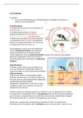 Samenvatting H6.2-H6.3, Max - Biologie voor jou 4b vwo