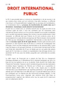 Droit International Public