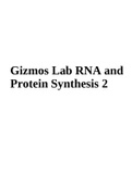 Gizmos Lab RNA and Protein Synthesis (2023 Graded A+)