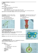 WJEC (England) Eduqas A-Level Biology 2. Continuity of Life - 4. Plant Reproduction