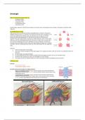 Samenvatting doktersassistent oncologie