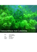 Biologie onderzoek - fotosynthese met de Cabomba waterplant