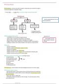 IGCSE Cambridge Biology OL (0610) Chapter 6 Photosynthesis + RELATED PAPER 6 notes