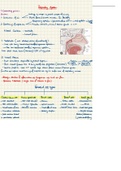 Histology needs photos and tables, and I made sure to include both when talking about the Respiratory system 