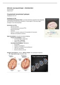 Klinische Neuropsychologie deel 2 - 2023