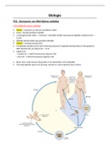 Biologie TH2 - Doorgeven van DNA tijdens celdeling