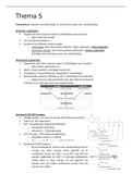 Biologie 5ASO Thema 5 Fotosynthese