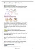 Protozoa evolution and development