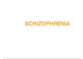 Schizophrenia