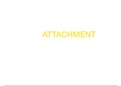 Attachment