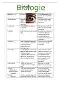 Een complete samenvatting van de oogonderdelen en hun functies voor 3de middelbaar biologie ( functies en kenmerken)