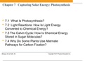 Chapter 7: Photosynthesis