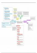 Mindmap h6 basiskennis taalonderwijs