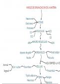 Niveles de organizacion de la materia 