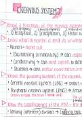 ANAT 201  Loose Leaf for Saladin Human Anatomy