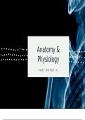 Anatomy & Physiology Root Words #1