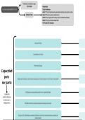 LEY DE ENJUICIAMIENTO CIVIL: ESTRUCTURA Y CAPACIDADES