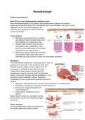 Neurofysiologie deel 2