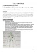 Btec Applied Science Unit 8B Assignment - Lymphatic System