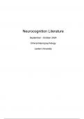 2024 NEW Summary of ALL Literature Neurocognition (CNP Leiden)