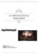 4.2 analyse sociale problemen (behaald met een 8!)