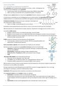 samenvatting pDNA